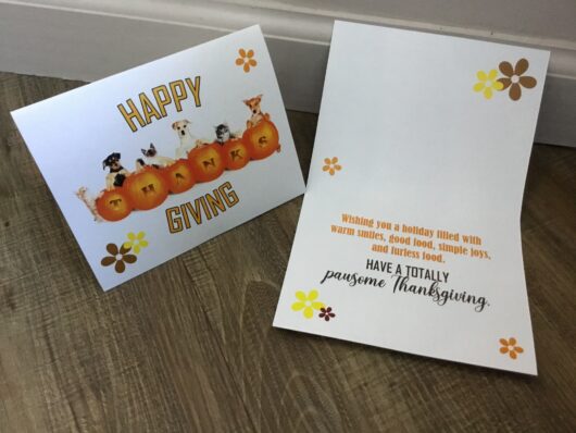 Wishing you a holiday filled with warm smiles, good food, simple joys, and furless food. HAVE A TOTALLY PAUSOME Thanksgiving.